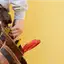 Handyman repair service in Jersey City, NJ for home fixes and improvements